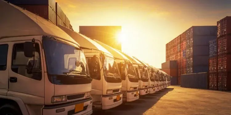 What are IVDR and MDR requirements