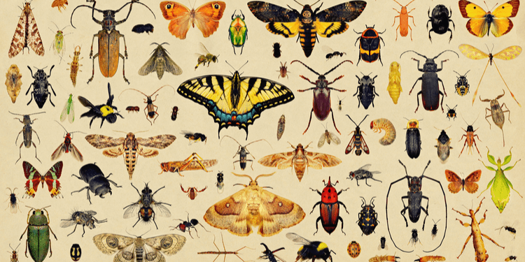 integrating cognidox with bugzilla 4.0